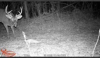 St. Johns Road, Braxton, MS 39044