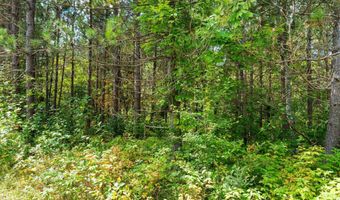 Double Bend Road, Argonne, WI 54511