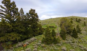 Trail Creek Road Lot 3, Bozeman, MT 59715
