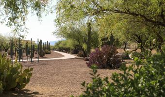 17116 S Vuelta Las Hebras, Sahuarita, AZ 85629