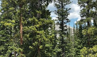 584 Camron Ln Lot 6, Breckenridge, CO 80424