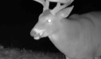 1037 Cr 300, Big Creek, MS 38914