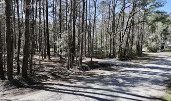 0 Lot 2 Creek Place Rd, Arapahoe, NC 28510
