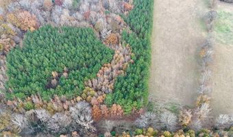 HWY 9, Bruce, MS 38915