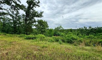 10606 Hickory Grove Rd, Belleville, AR 72824