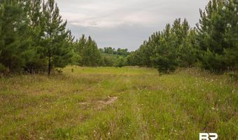 Flowers Road, Bay Minette, AL 36507
