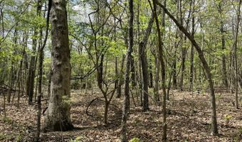State Hwy N Tract G, Ava, MO 65608