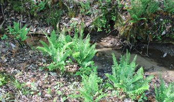 Ruffner Road 00, Barnesville, GA 30204