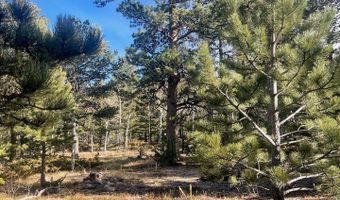 399 N Skinner Rd, Allenspark, CO 80510