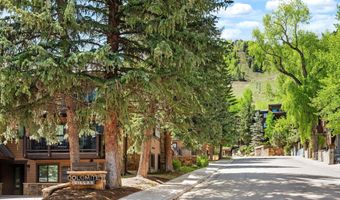 650 S Monarch St 7, Aspen, CO 81611