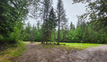 13376 Bug Creek Rd, Bigfork, MT 59911