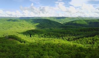 701 Ridgetop Rd, Bastian, VA 24314