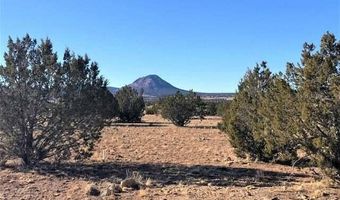 9800 W Boiling Pot Rd, Ash Fork, AZ 86320