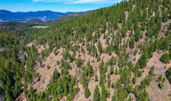 NNA Canary Creek Rd, Cataldo, ID 83810
