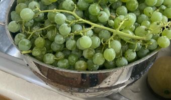 918 ROAD 4990, Bloomfield, NM 87413