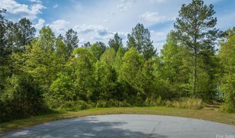 3195 Panoramic Vista Court NE 61, Connelly Springs, NC 28612