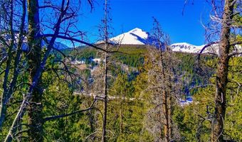 1013 RANGE Rd, Breckenridge, CO 80424