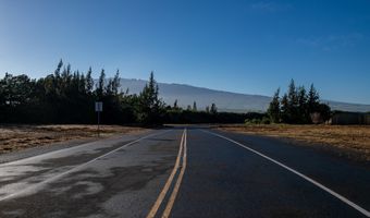 64-6102 OKADA FARMS Pl, Kamuela, HI 96743