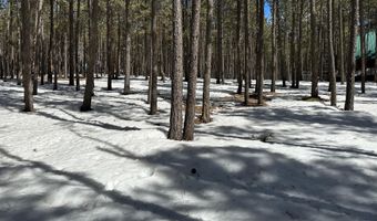 Lot 565 Lakeview Park Drive, Angel Fire, NM 87710