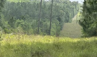 40 Ac +/- Old River Rd, Baker, FL 32531