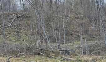 295 Shellstone Rd, Amsterdam, NY 12010