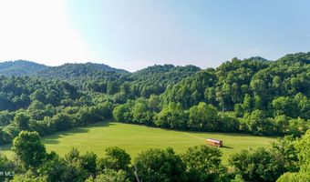 Canebrake Road, Abingdon, VA 24210