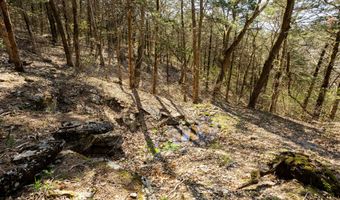16032 Farm Road 1212, Aurora, MO 65605