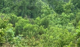 300 Block ANGEL, Amity, AR 71921
