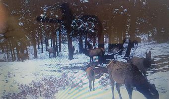 1788 Foxfire Rd, Bayfield, CO 81122