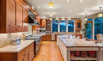 691 Pfister Dr, Aspen, CO 81611