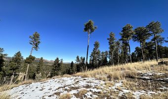 1601 Mechem Dr, Ruidoso, NM 88345