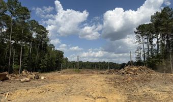 SE Cole Drive, Bogue Chitto, MS 39629
