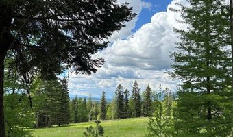 Nhn Black Wolf Trail, Bigfork, MT 59911
