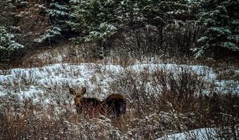 180 Styx Rd, Big Horn, WY 82833
