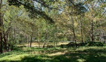 722 GREENFIELD MOUNTAIN FARM 19, 20, 21 and 22, Afton, VA 22920