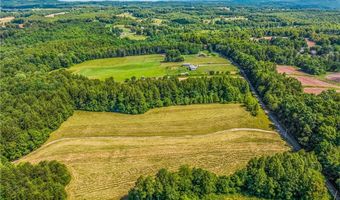 157 Buttercup Ln, Ararat, NC 27007