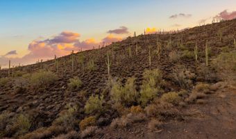 42000 N Fleming Springs Rd P, Cave Creek, AZ 85331