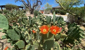 5650 E OCUPADO Dr, Cave Creek, AZ 85331