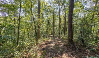 23 59 Ac Chestnut Flats Rd, Andrews, NC 28901