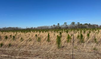 2000-4 Sellers Rd NW, Baxley, GA 31513