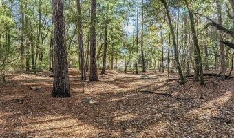 386 Brickyard Point Rd S, Beaufort, SC 29907