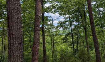 2840 Highway 61 W, Andersonville, TN 37705