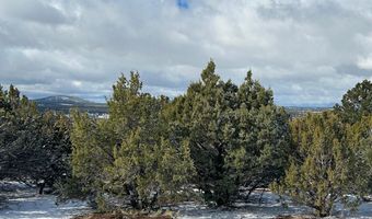 Lot 44 UPHILL Trail 44, Vernon, AZ 85940