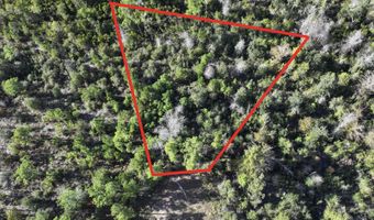 Pisgah Court, Alford, FL 32420