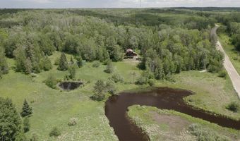 9289 Heino Rd, Angora, MN 55703