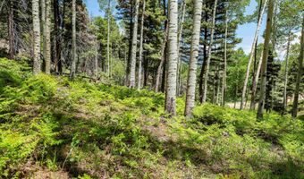 Lot 148 Brazos Dr, Angel Fire, NM 87710