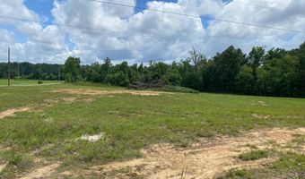 OLD MORRIS CHAPEL Rd, Adamsville, TN 38310