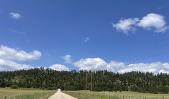 163 21 Ac Gray Ln, Cascade, ID 83611