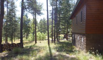 3 CR 2190, Alpine, AZ 85920