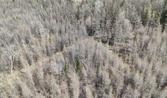 5280 Cathro Rd, Alpena, MI 49707